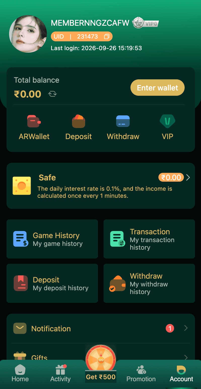 DM First Account Dashboard Showing Wallet Balance and Security Features